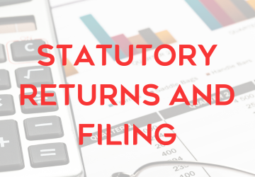 Statutory Returns and Filing